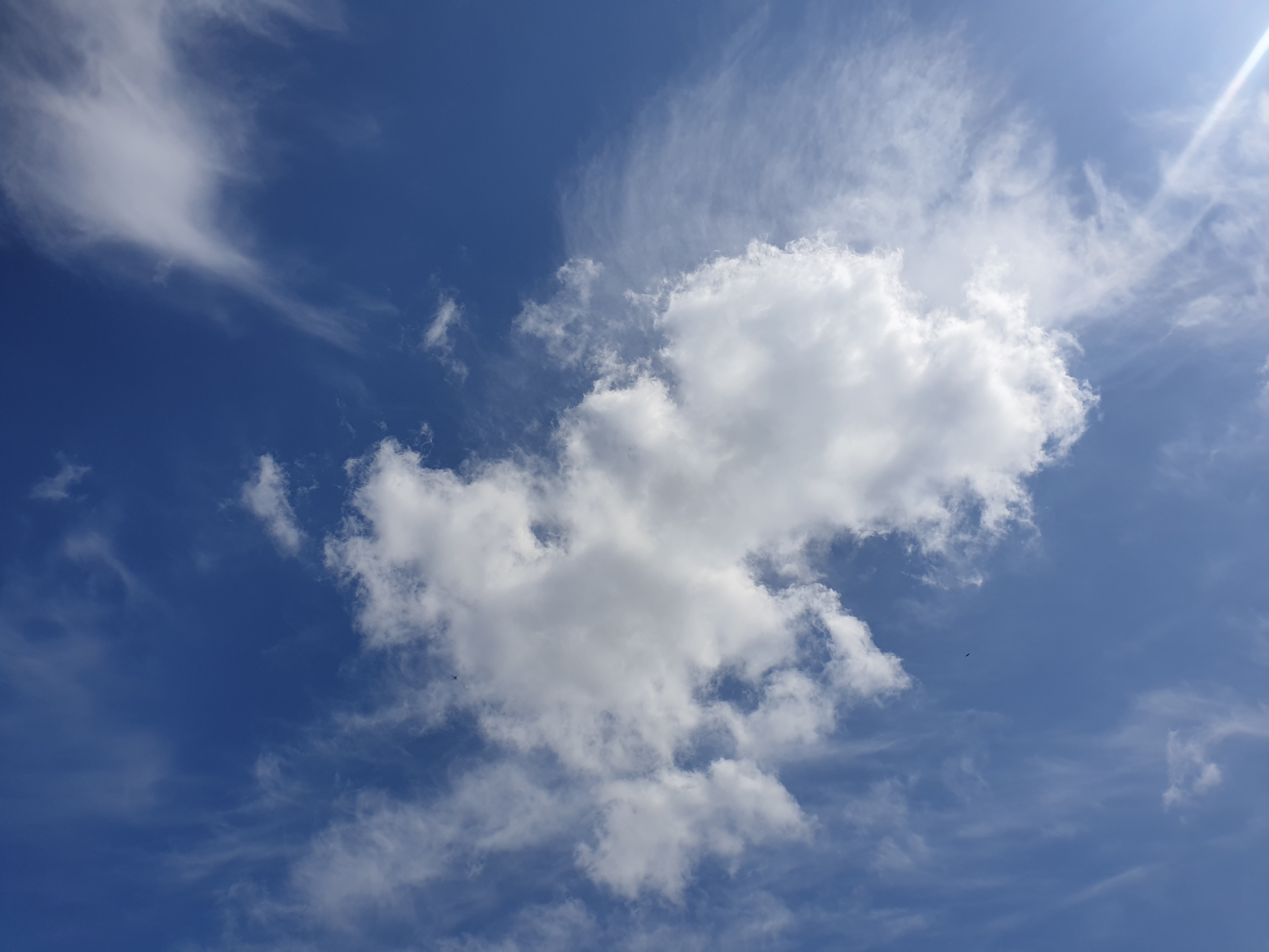 Colossians 4.10–13 Turn of the Heart